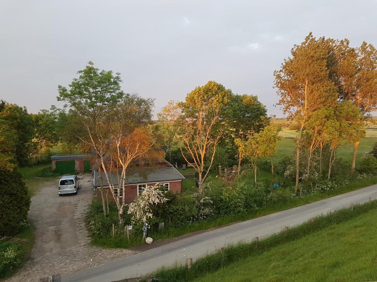 Ferienwohnung Diekblick - Kleiner Deichhof Hattstedtermarsch Exterior foto