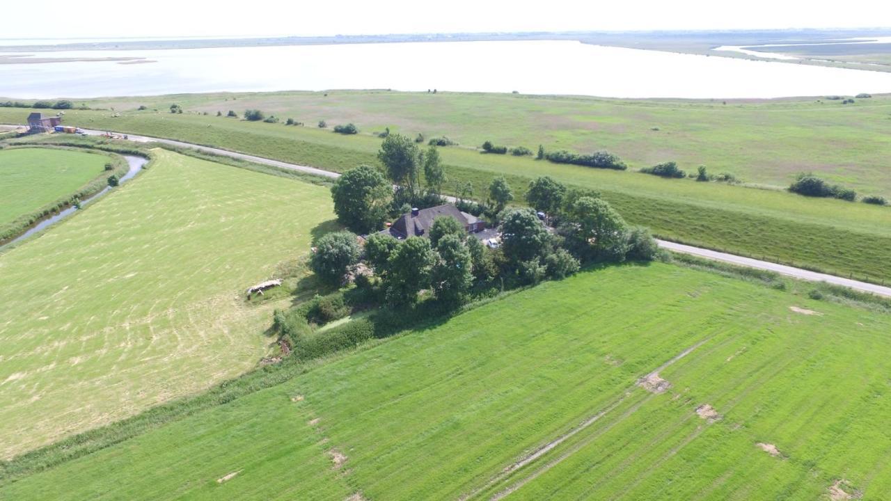 Ferienwohnung Diekblick - Kleiner Deichhof Hattstedtermarsch Exterior foto